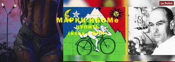 spice Аркадак