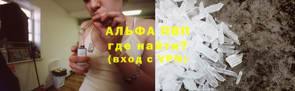 spice Аркадак