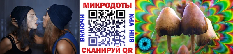 МЕГА ссылки  Чухлома  Галлюциногенные грибы Psilocybine cubensis 